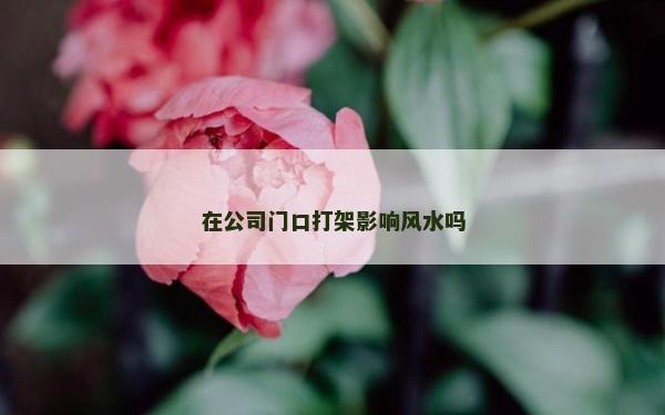 在公司門口打架影響風水嗎