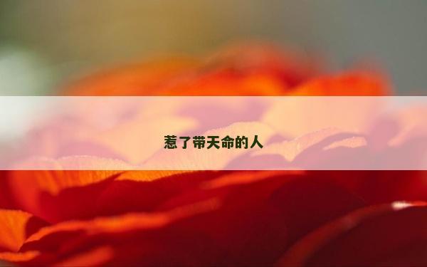 惹了帶天命的人