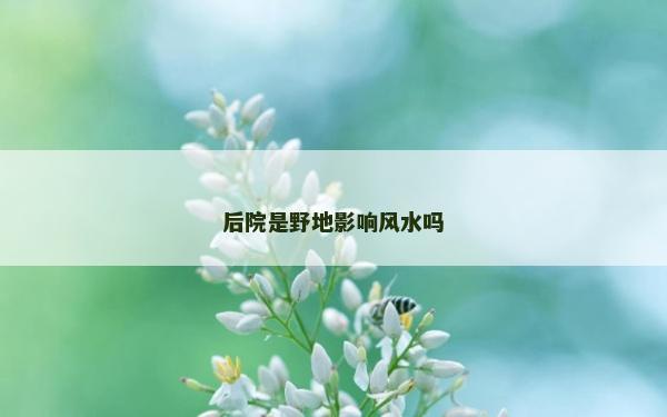 后院是野地影響風水嗎
