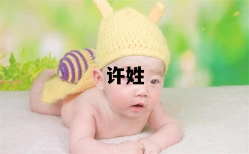 許姓洋氣的男孩名字