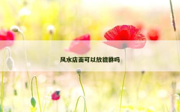 風(fēng)水店面可以放貔貅嗎