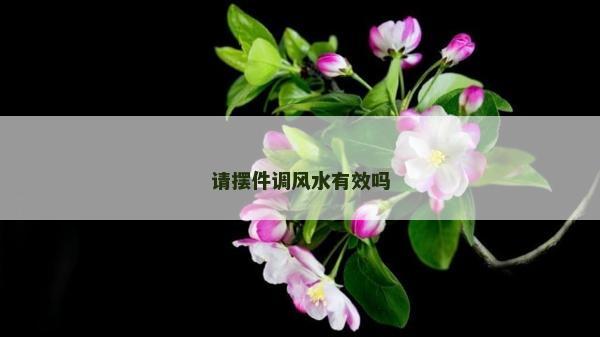 請(qǐng)擺件調(diào)風(fēng)水有效嗎