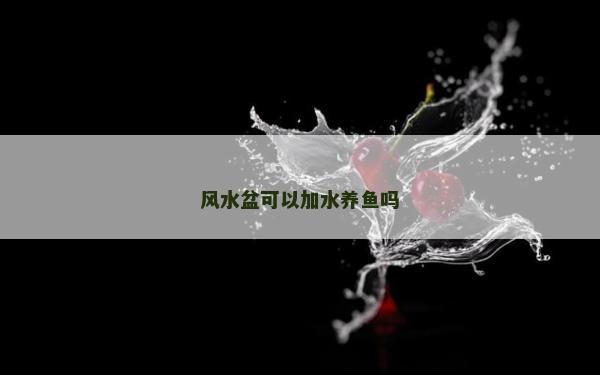 風水盆可以加水養魚嗎