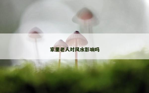 家里老人對風(fēng)水影響嗎