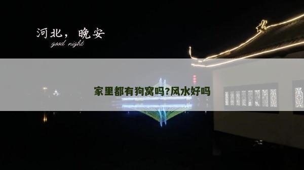 家里都有狗窩嗎?風水好嗎 家里都有狗窩嗎?風水好嗎
