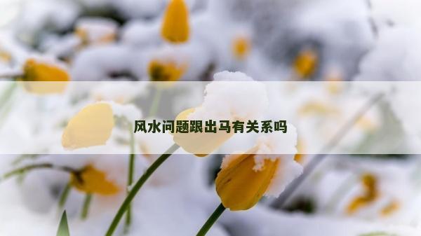 風水問題跟出馬有關系嗎