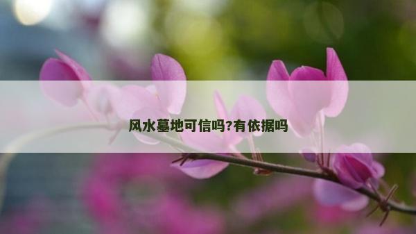 風水墓地可信嗎?有依據嗎