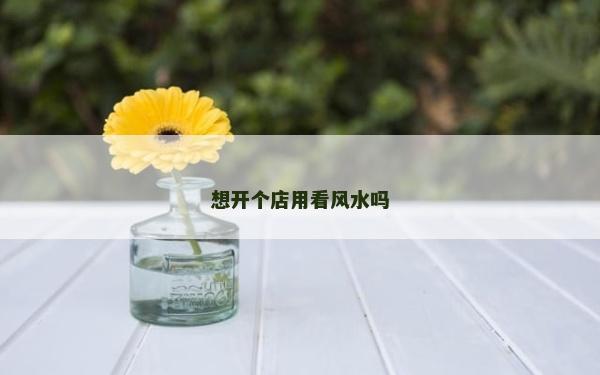 想開個(gè)店用看風(fēng)水嗎