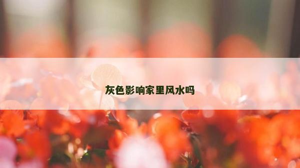 灰色影響家里風水嗎 灰色影響家里風水嗎