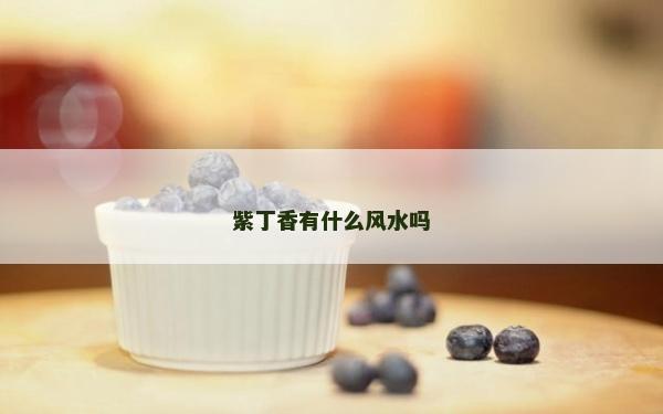 紫丁香有什么風水嗎