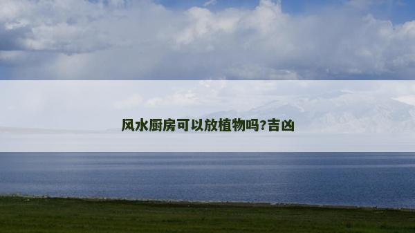 風水廚房可以放植物嗎?吉兇 風水廚房可以放植物嗎?吉兇
