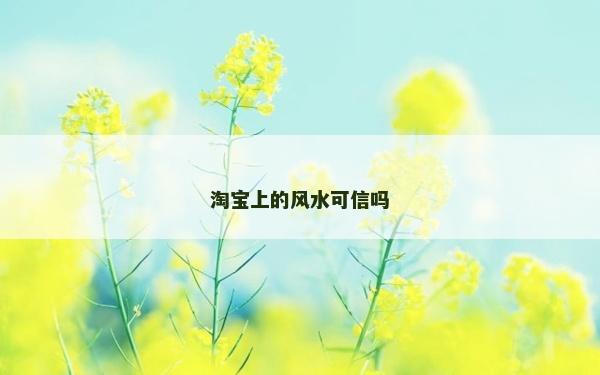 淘寶上的風水可信嗎 淘寶上的風水可信嗎