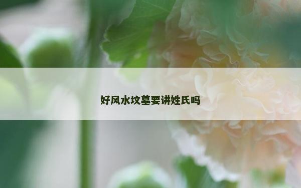 好風(fēng)水墳?zāi)挂v姓氏嗎