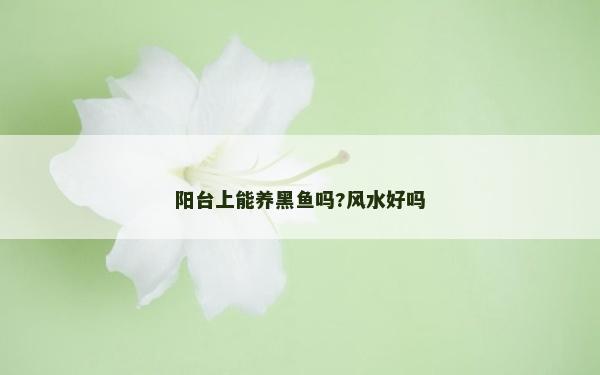 陽臺上能養黑魚嗎?風水好嗎
