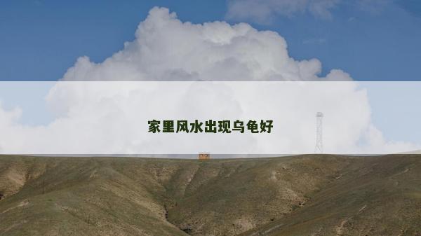家里風水出現烏龜好 家里風水出現烏龜好