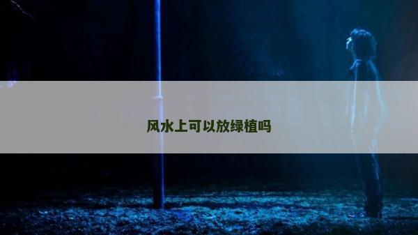 風(fēng)水上可以放綠植嗎