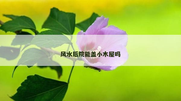 風水后院能蓋小木屋嗎 風水后院能蓋小木屋嗎