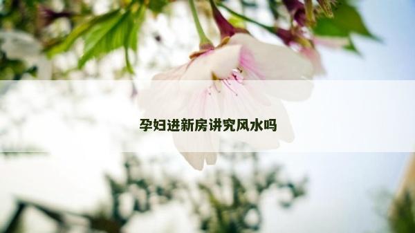 孕婦進新房講究風水嗎