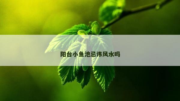 陽(yáng)臺(tái)小魚(yú)池忌諱風(fēng)水嗎 陽(yáng)臺(tái)小魚(yú)池忌諱風(fēng)水嗎