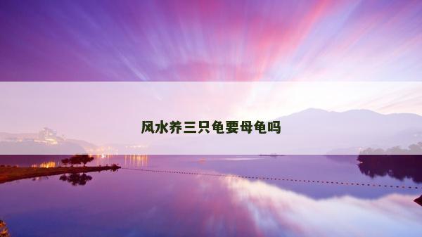 風(fēng)水養(yǎng)三只龜要母龜嗎