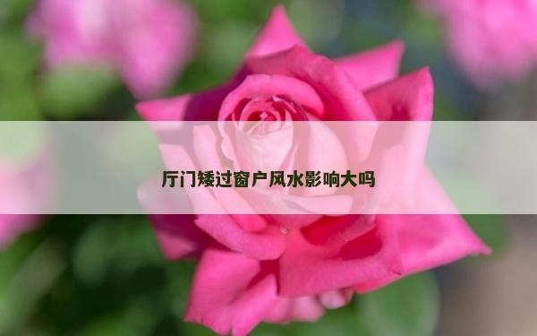廳門矮過窗戶風水影響大嗎