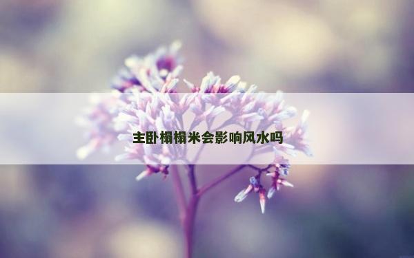 主臥榻榻米會影響風水嗎