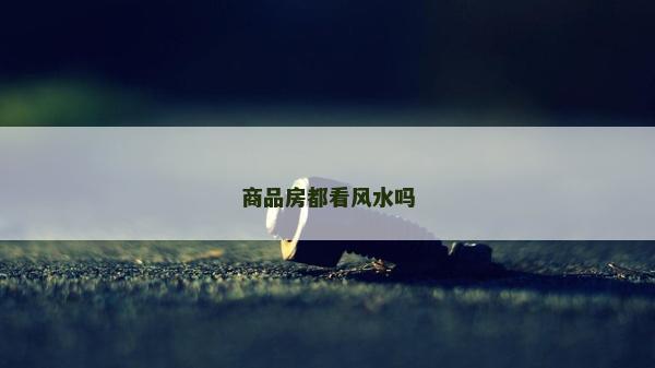 商品房都看風(fēng)水嗎