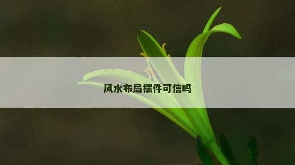 風(fēng)水布局?jǐn)[件可信嗎