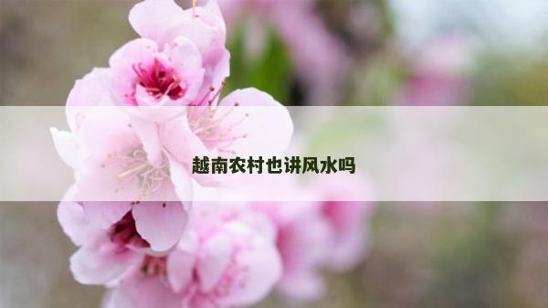 越南農(nóng)村也講風(fēng)水嗎