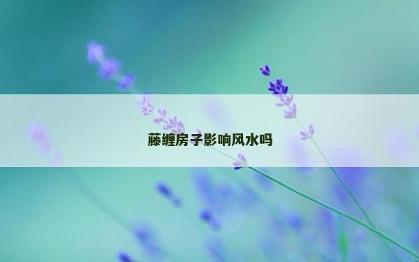 藤纏房子影響風(fēng)水嗎
