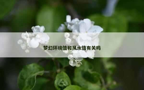 夢幻環境值和風水值有關嗎