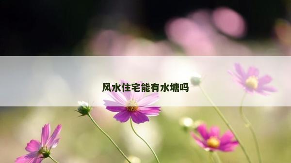 風水住宅能有水塘嗎 風水住宅能有水塘嗎