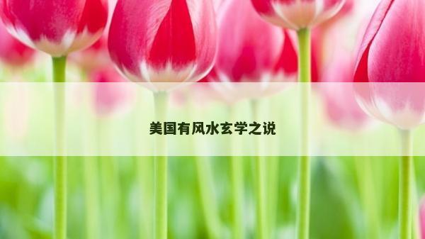 美國有風(fēng)水玄學(xué)之說