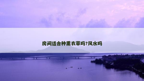 房間適合種熏衣草嗎?風(fēng)水嗎 房間適合種熏衣草嗎?風(fēng)水嗎