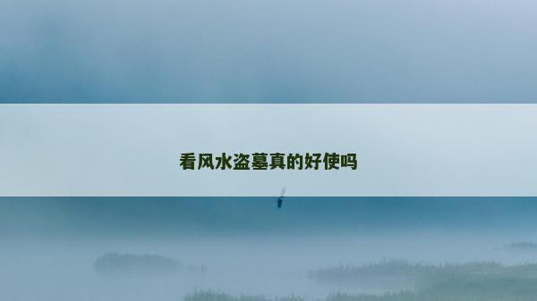 看風水盜墓真的好使嗎 看風水盜墓真的好使嗎