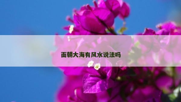 面朝大海有風(fēng)水說法嗎