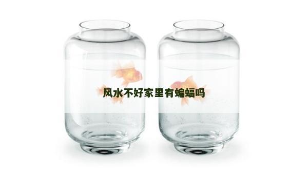 風水不好家里有蝙蝠嗎