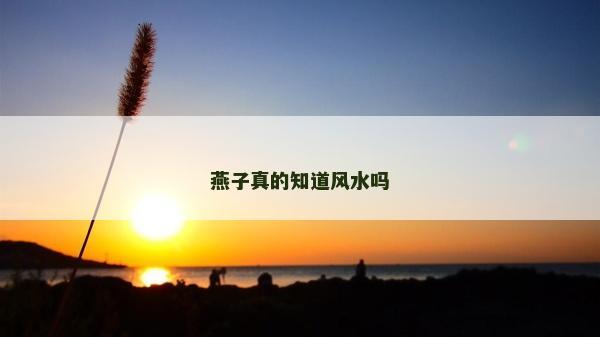 燕子真的知道風水嗎