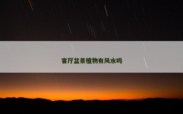 客廳盆景植物有風(fēng)水嗎