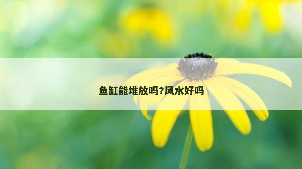 魚缸能堆放嗎?風(fēng)水好嗎