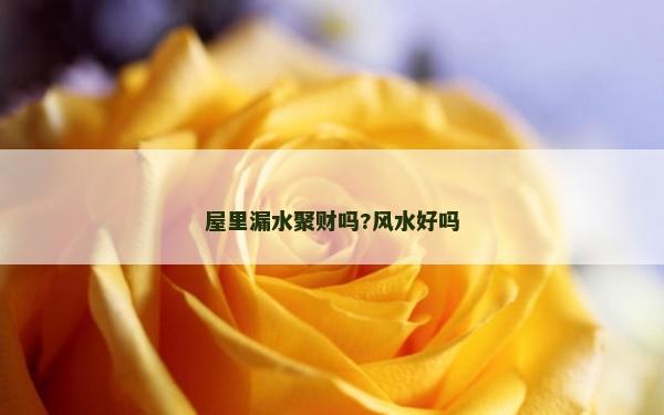 屋里漏水聚財嗎?風水好嗎