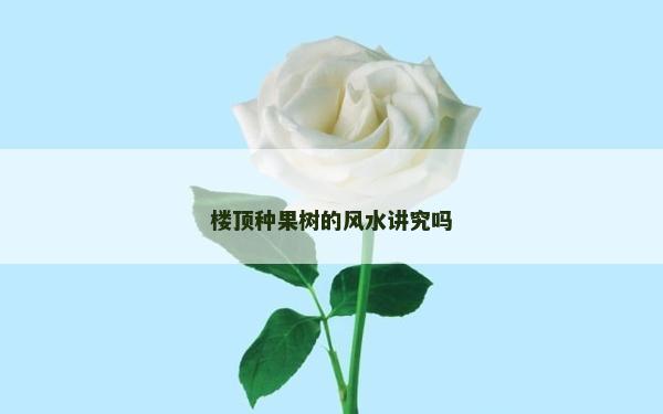 樓頂種果樹的風水講究嗎