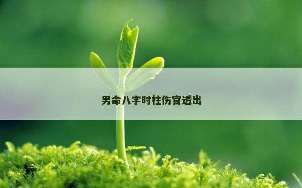 男命八字時柱傷官透出