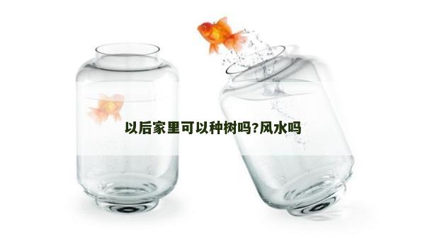 以后家里可以種樹嗎?風水嗎