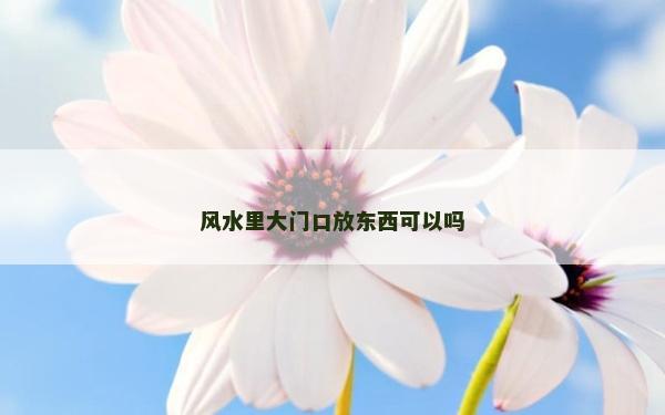 風水里大門口放東西可以嗎