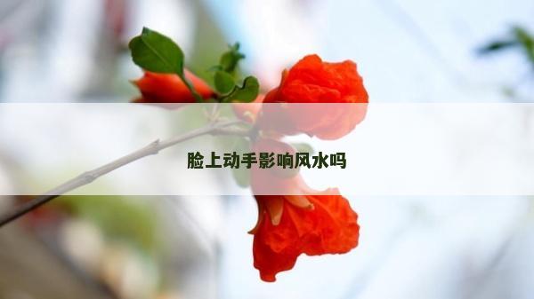 臉上動手影響風(fēng)水嗎
