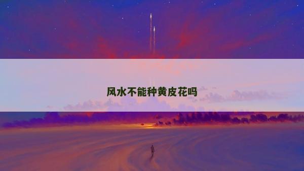 風水不能種黃皮花嗎 風水不能種黃皮花嗎
