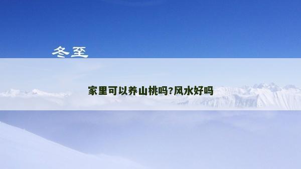 家里可以養(yǎng)山桃嗎?風(fēng)水好嗎