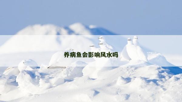 養(yǎng)病魚(yú)會(huì)影響風(fēng)水嗎 養(yǎng)病魚(yú)會(huì)影響風(fēng)水嗎