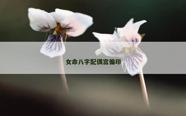 女命八字配偶宮偏印